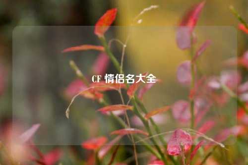 CF 情侣名大全
