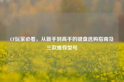 CF玩家必看,从新手到高手的键盘选购指南及三款推荐型号