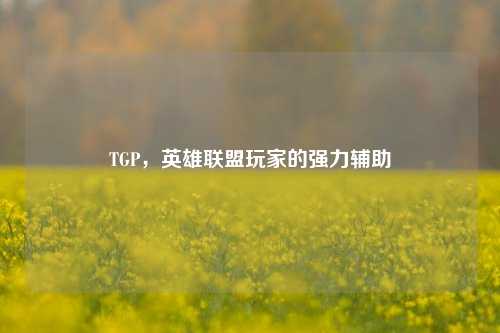 TGP，英雄联盟玩家的强力辅助