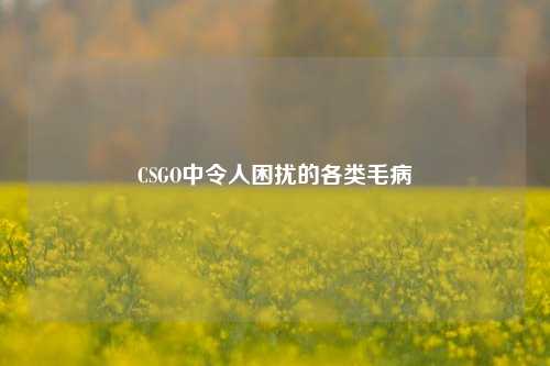 CSGO中令人困扰的各类毛病