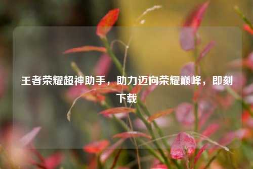 王者荣耀超神助手，助力迈向荣耀巅峰，即刻下载