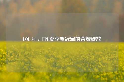 LOL S6 ,LPL夏季赛冠军的荣耀绽放