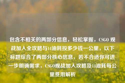 包含不相关的两部分信息，轻松掌握，CSGO 观战加入全攻略与14油耗投多少钱一公里，以下标题综合了两部分核心信息，若不合适你可进一步明确需求，CSGO观战加入攻略及14油耗每公里费用解析