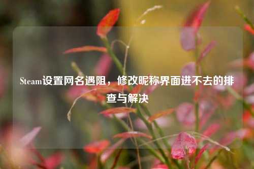 Steam设置网名遇阻，修改昵称界面进不去的排查与解决