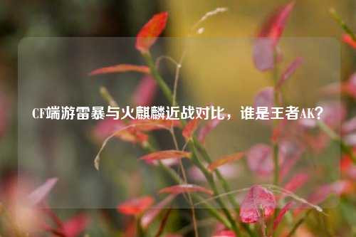 CF端游雷暴与火麒麟近战对比,谁是王者AK?