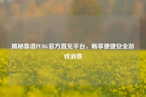 揭秘靠谱PUBG官方直充平台，畅享便捷安全游戏消费