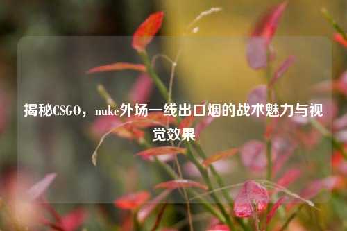 揭秘CSGO,nuke外场一线出口烟的战术魅力与视觉效果