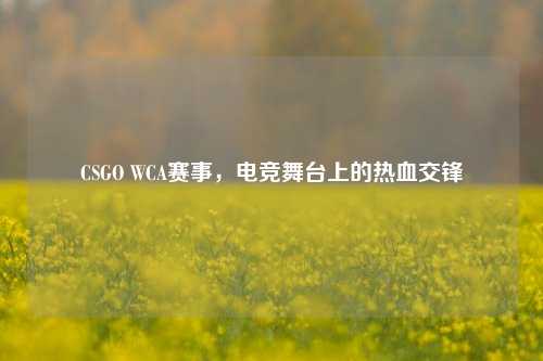 CSGO WCA赛事,电竞舞台上的热血交锋