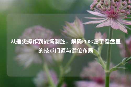 从指尖操作到战场制胜,解码PUBG露手键盘里的技术门道与键位布局