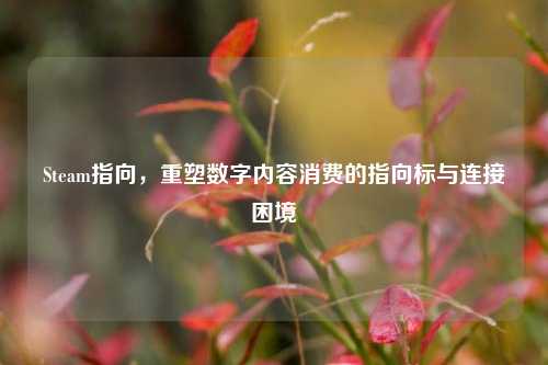 Steam指向，重塑数字内容消费的指向标与连接困境