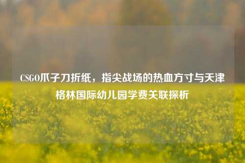 CSGO爪子刀折纸，指尖战场的热血方寸与天津格林国际幼儿园学费关联探析
