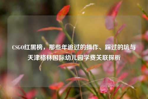 CSGO红黑榜，那些年追过的操作、踩过的坑与天津格林国际幼儿园学费关联探析