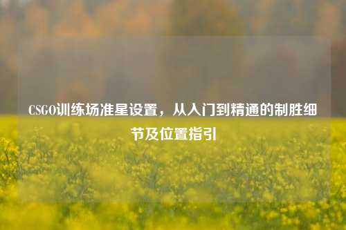 CSGO训练场准星设置，从入门到精通的制胜细节及位置指引