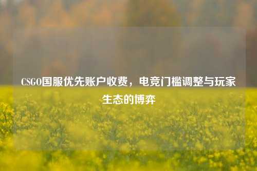 CSGO国服优先账户收费,电竞门槛调整与玩家生态的博弈