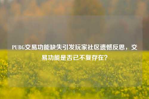 PUBG交易功能缺失引发玩家社区遗憾反思，交易功能是否已不复存在？