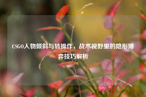 CSGO人物倾斜与转操作,战术视野里的隐形博弈技巧解析