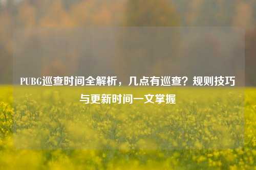 PUBG巡查时间全解析,几点有巡查?规则技巧与更新时间一文掌握