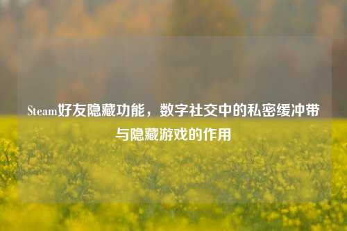 Steam好友隐藏功能，数字社交中的私密缓冲带与隐藏游戏的作用