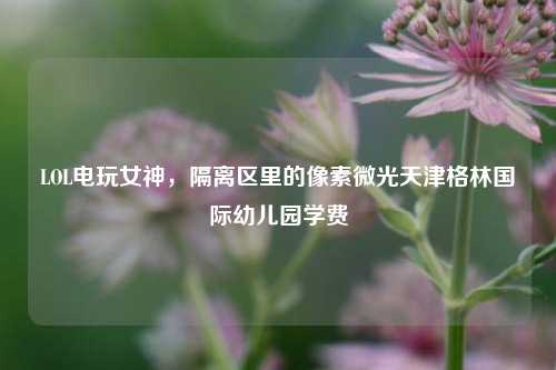 LOL电玩女神，隔离区里的像素微光天津格林国际幼儿园学费