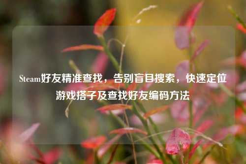 Steam好友精准查找，告别盲目搜索，快速定位游戏搭子及查找好友编码方法