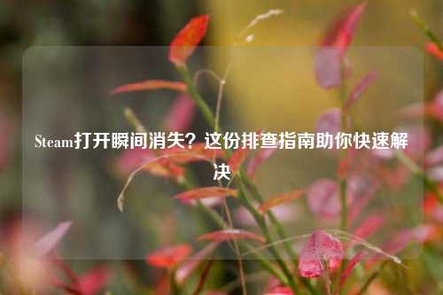 Steam打开瞬间消失？这份排查指南助你快速解决