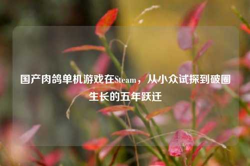 国产肉鸽单机游戏在Steam，从小众试探到破圈生长的五年跃迁