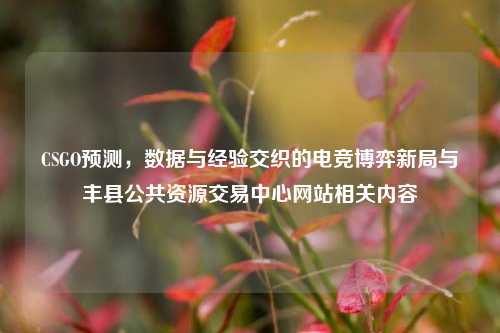 CSGO预测，数据与经验交织的电竞博弈新局与丰县公共资源交易中心网站相关内容