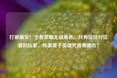 打破偏见！王者荣耀无弱角色，只有没找对位置的玩家，所谓混子英雄究竟有哪些？
