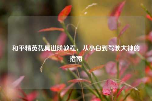 和平精英载具进阶教程,从小白到驾驶大神的指南