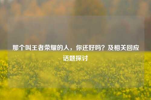 那个叫王者荣耀的人，你还好吗？及相关回应话题探讨