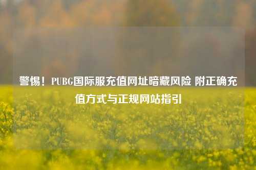 警惕！PUBG国际服充值网址暗藏风险 附正确充值方式与正规网站指引