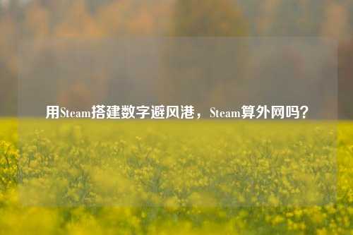 用Steam搭建数字避风港，Steam算外网吗？