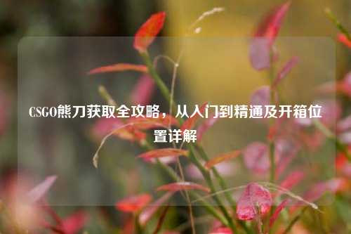 CSGO熊刀获取全攻略，从入门到精通及开箱位置详解