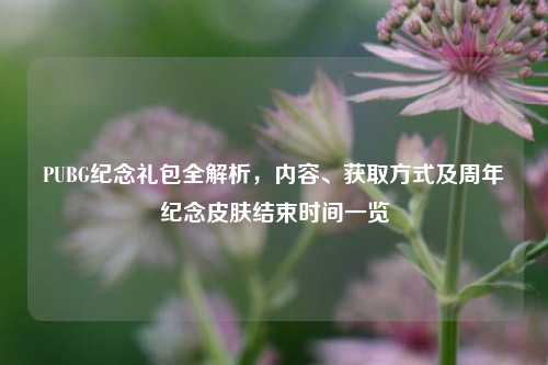 PUBG纪念礼包全解析，内容、获取方式及周年纪念皮肤结束时间一览