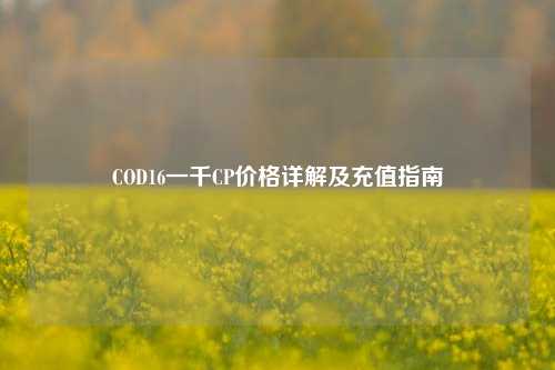 COD16一千CP价格详解及充值指南