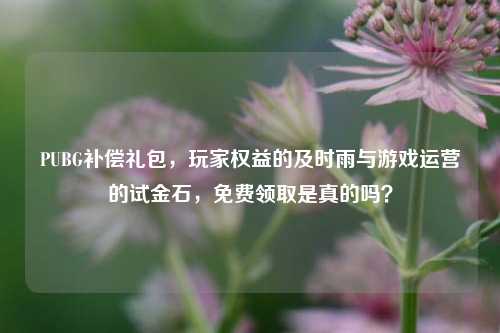 PUBG补偿礼包,玩家权益的及时雨与游戏运营的试金石,免费领取是真的吗?