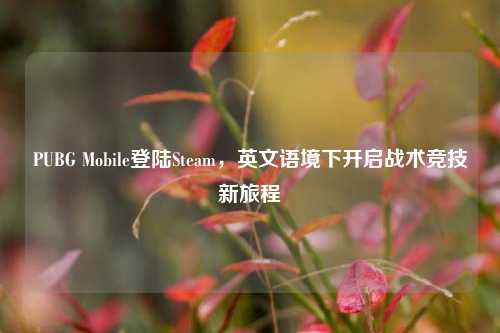 PUBG Mobile登陆Steam，英文语境下开启战术竞技新旅程