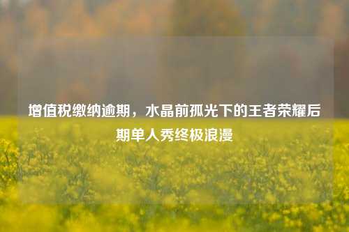 增值税缴纳逾期，水晶前孤光下的王者荣耀后期单人秀终极浪漫