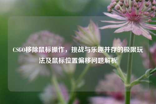 CSGO移除鼠标操作，挑战与乐趣并存的极限玩法及鼠标位置偏移问题解析