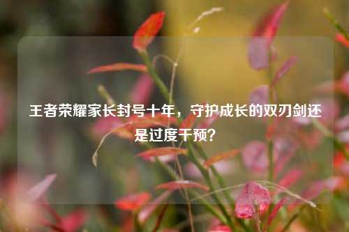 王者荣耀家长封号十年，守护成长的双刃剑还是过度干预？