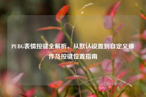 PUBG表情按键全解析，从默认设置到自定义操作及按键位置指南
