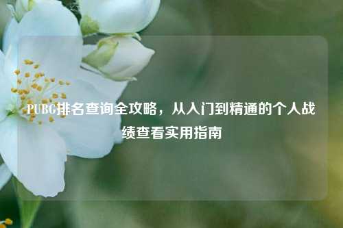 PUBG排名查询全攻略，从入门到精通的个人战绩查看实用指南