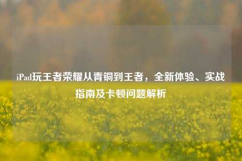 iPad玩王者荣耀从青铜到王者，全新体验、实战指南及卡顿问题解析
