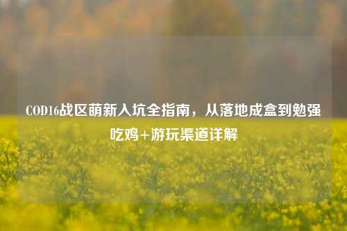 COD16战区萌新入坑全指南，从落地成盒到勉强吃鸡+游玩渠道详解