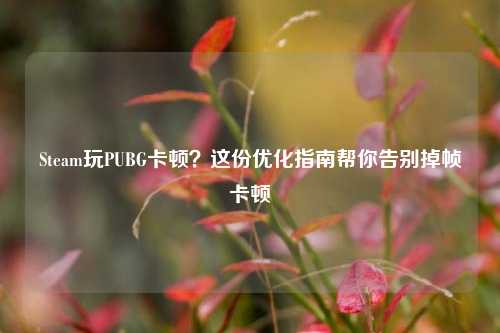 Steam玩PUBG卡顿？这份优化指南帮你告别掉帧卡顿