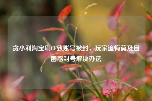 贪小利淘宝刷CF致账号被封，玩家追悔莫及且困惑封号解决办法