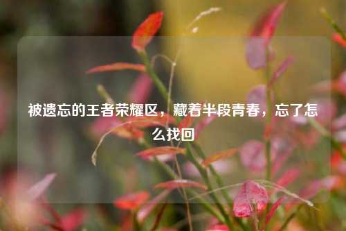 被遗忘的王者荣耀区，藏着半段青春，忘了怎么找回