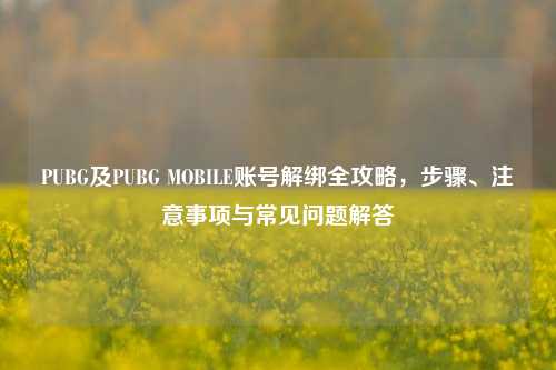 PUBG及PUBG MOBILE账号解绑全攻略，步骤、注意事项与常见问题解答