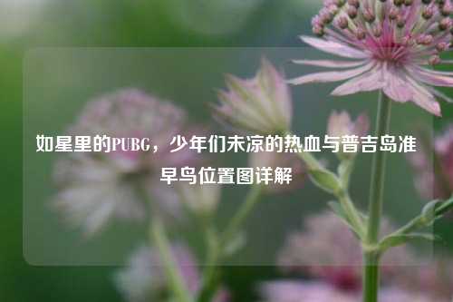 如星里的PUBG，少年们未凉的热血与普吉岛准早鸟位置图详解