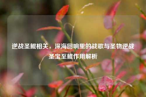 逆战圣鲲相关，深海回响里的战歌与圣物逆战圣宝至鲲作用解析